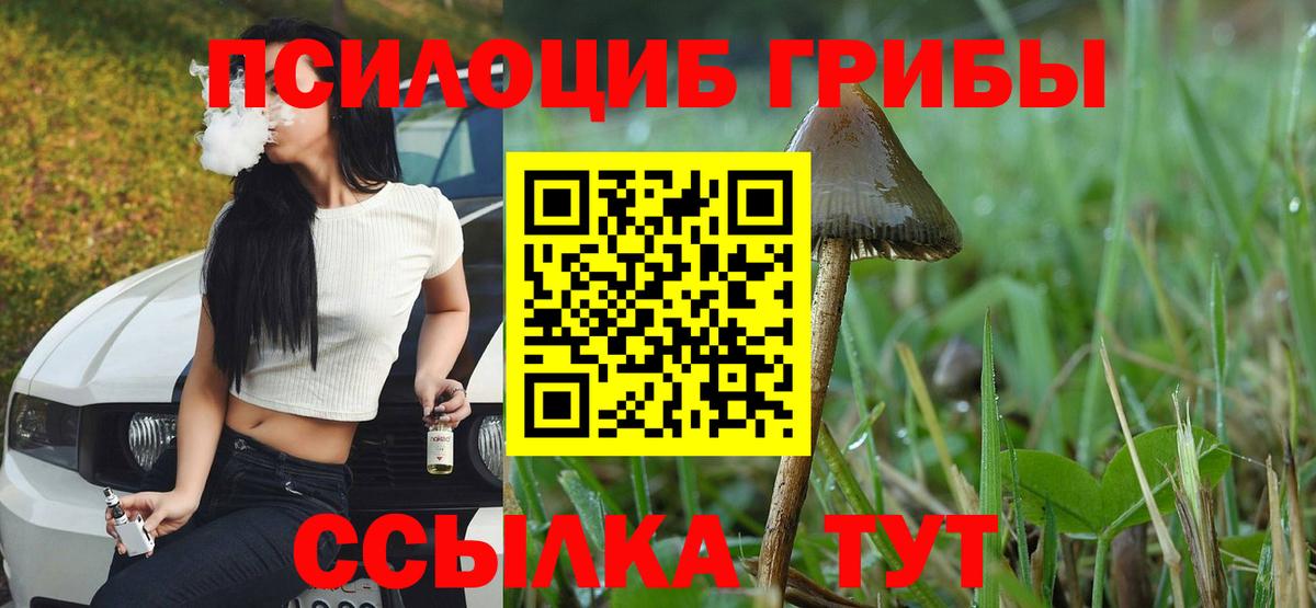 Галлюциногенные грибы мухоморы Клин