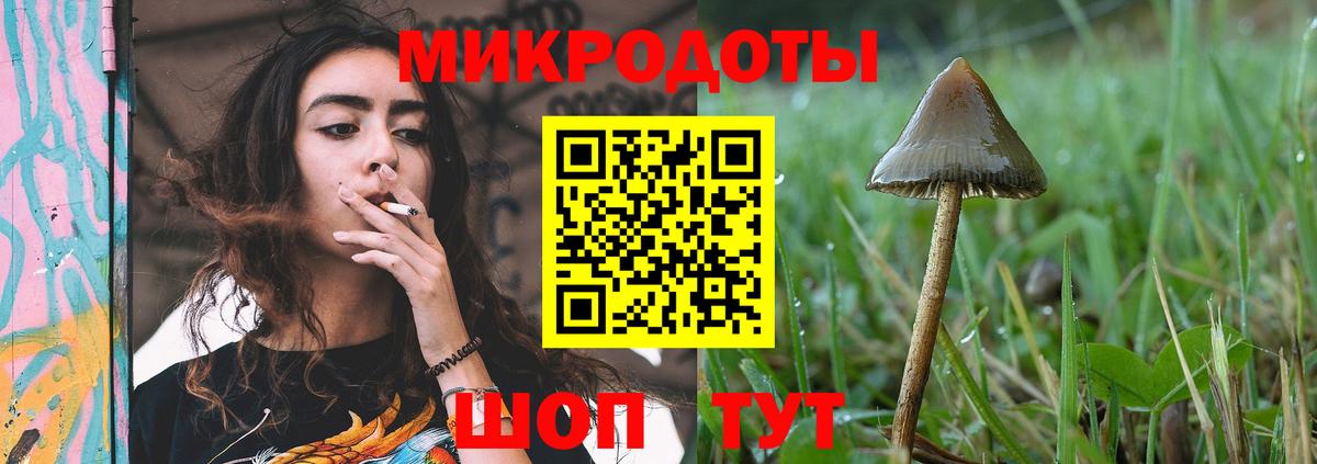 Клин  Галлюциногенные грибы Psilocybine cubensis  Вход с VPN 